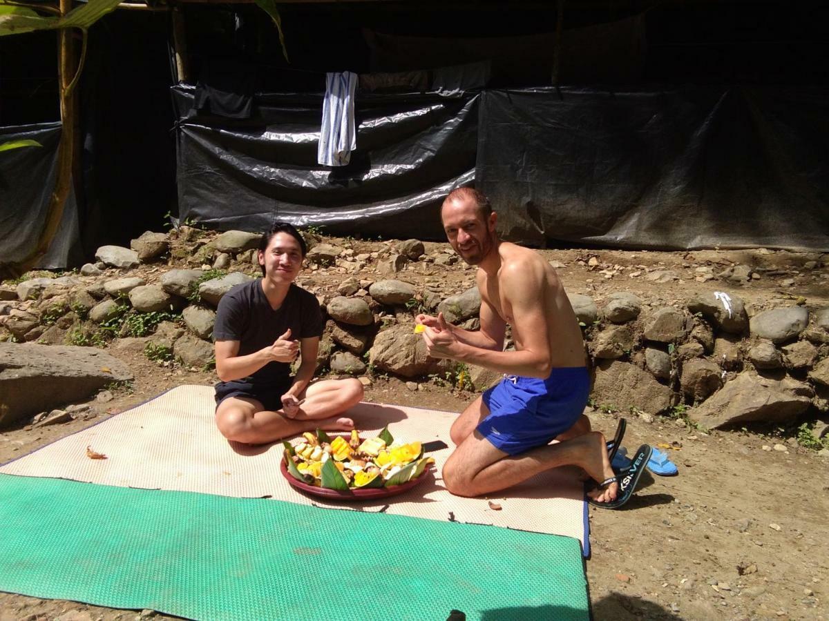 Landak River Guest House Only Trekking With Us Bukit Lawang Exterior foto